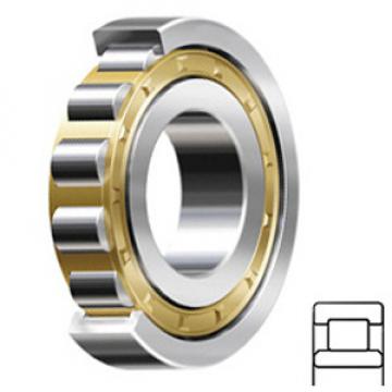 CONSOLIDATED Rolamentos NU-215E M C/3 Rolamentos de rolos cilíndricos