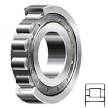 SKF NJ 206 ECJ/C3 Rolamentos de rolos cilíndricos