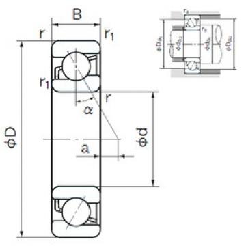 Rolando 7205B NACHI