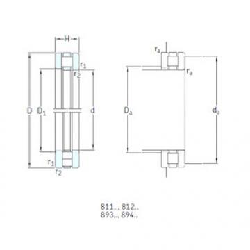 Rolando 81226TN SKF