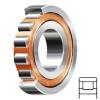 SKF N 218 ECP/C3 Rolamentos de rolos cilíndricos