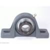 FHSPW205-13 Pillow Block Ductile Light Duty 13/16&#034; Ball Bearings Rolling