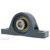 UCLP205-16 Bearing Pillow Block Medium Duty 1&#034; Ball Bearings Rolling