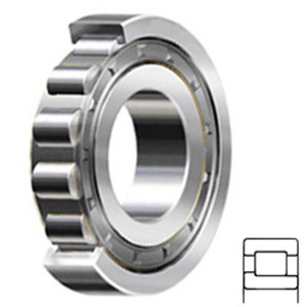 SKF NJ 315 ECJ/C3 Rolamentos de rolos cilíndricos #1 image