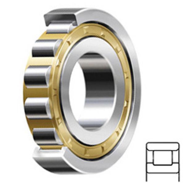 SKF N 320 ECM Rolamentos de rolos cilíndricos #1 image