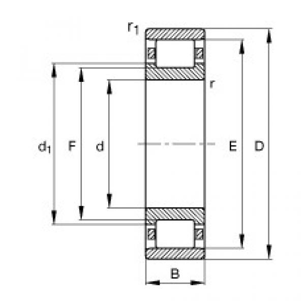 Rolamentos N222-E-TVP2 FAG #1 image